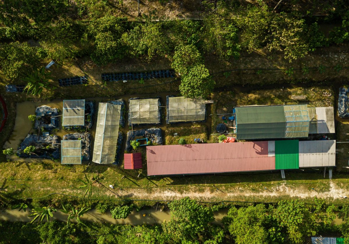 aerial-drone-view-of-a-mix-farmland-in-jasin-mela-2024-09-14-02-28-40-utc