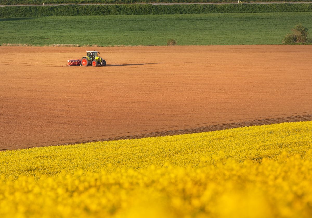 Tractor plowing a field in South Moravia at sunset